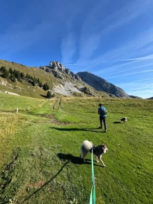 Lac de Lessy et sommets panoramiques en Haute-Savoie - Chinaillon, Le Grand-Bornand - 4