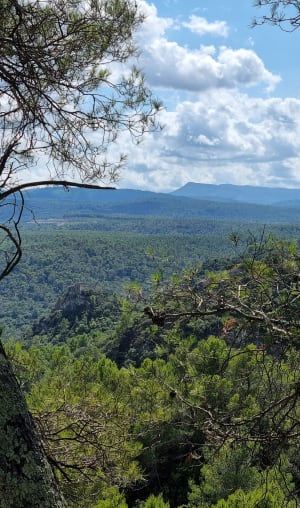 Vue des hauteurs du Caramy et immersion en nature sauvage - Marie - 4
