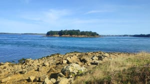 Tour de la pointe d’Arzon - Yann - 14