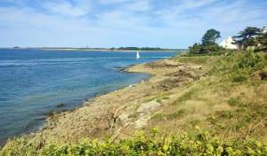 Tour de la pointe d’Arzon - Yann - 13