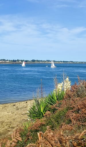 Tour de la pointe d’Arzon - Yann - 17