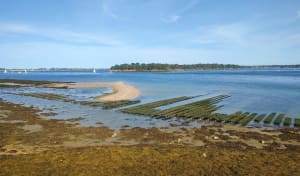 Tour de la pointe d’Arzon - Yann - 18