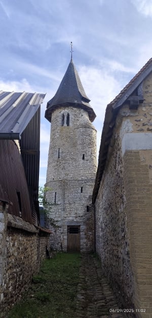 Autour de Muids - Adeline - 4