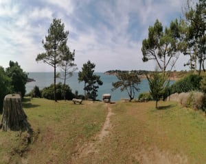 Virée à Ria de Belon et magie de l'estuaire - MARCEL - 4