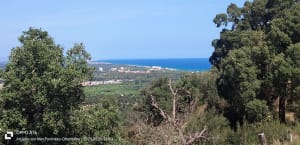 De Racou aux criques de Collioure - Christian - 5