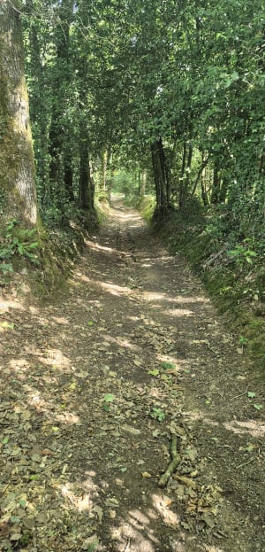 Randonnée à Saint-Paul-le-Gaultier - Jean Marie - 7