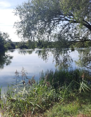 Rando de Moulin Rouge, par Audelange à Rochefort-sur-Nenon - Cathy - 14