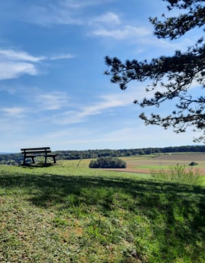 Rando de Moulin Rouge, par Audelange à Rochefort-sur-Nenon - Cathy - 16