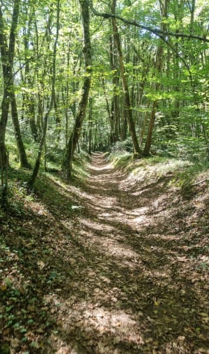 Boucle de Marobert-Vitrac - Julien - 3