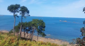 Balade cool de la pointe du château en passant par la ville. - Perros-Guirec - 6