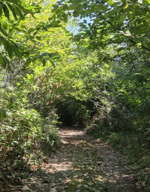 Sur le chemin de Castagné - KARINE - 4