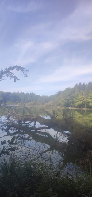 Découvrir le patrimoine et l'étang de Passavant-la-Rochère - Stéphane - 5