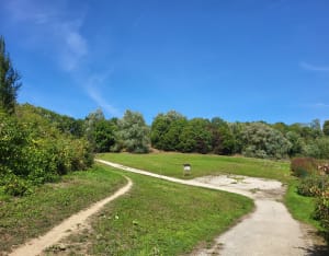 Parcours PR de Moissy-Cramayel - Christelle - 6