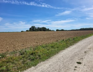 Parcours PR de Moissy-Cramayel - Christelle - 7