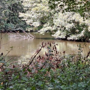 Circuit du bois de Groez par Libotte - Emmanuel - 8