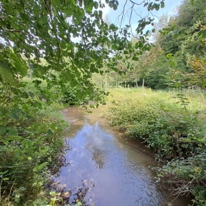 Circuit du bois de Groez par Libotte - Emmanuel - 7