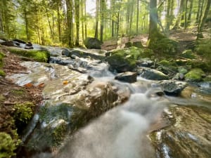 Boucle à la Cascade des Tendons - Laurent - 6