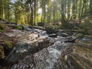 Boucle à la Cascade des Tendons - Laurent - 8