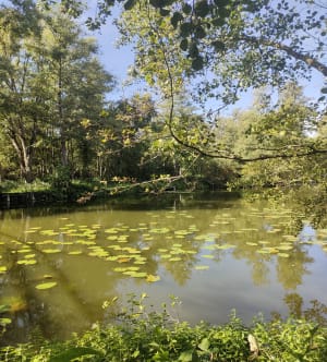 Belle balade Seraucourt le Grand - Benoit - 10