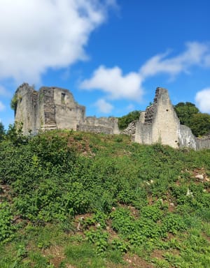 Château de Pressilly - Dompierre-sur-Mont - 2