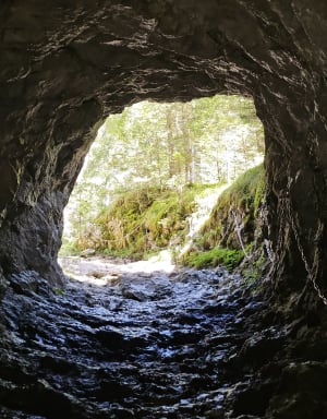 Belvédère du Pas du Roc - Fillière - 13