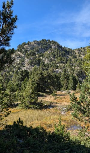 Lac Achard par l'Arselle à raquettes - Chamrousse - 7