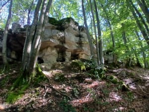 Bois de la Mandallaz et trésor historique - SABINE - 5