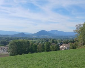 Bois de la Mandallaz et trésor historique - SABINE - 6