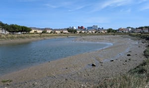 Graye-sur-Mer entre champs et plages - Alain - 7