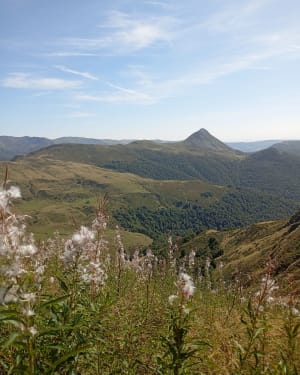 Le puy de Peyre Arse par les crêtes - Thierry - 16