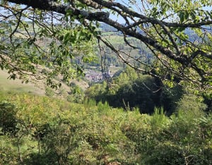 Chaudes-Aigues et Amours cachées en cœur d'Auvergne - Chaudes-Aigues - 2