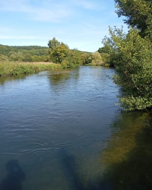 Etangs de Condé-sur-Risle - Emilie - 3