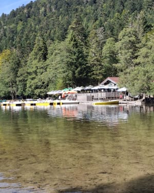 Le tour du lac de Gérardmer - Gérardmer - 18