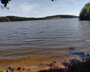 Saint-Agnan et zénitude au bord du lac - Saint-Agnan - 3