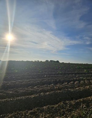 La Boixière et l'étang de Chevré - Lety - 7