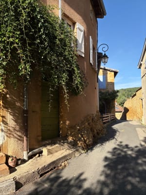 Petite balade dans les vignes de Chessy - Florian - 5
