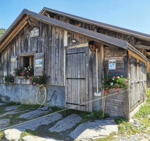 Du télésiège du Crêt du Midi au télésiège de Bellasta - Arnaud - 2