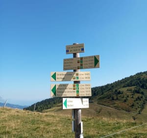 Du télésiège du Crêt du Midi au télésiège de Bellasta - Arnaud - 3