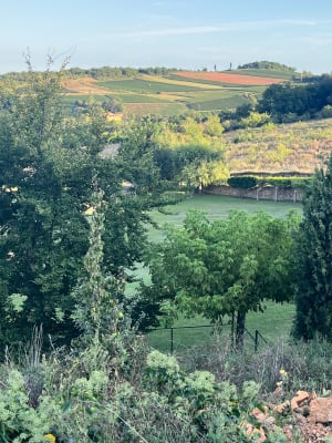 Entre vignes et bois depuis St-Jean-des-Vignes - ANNE-LISE - 4