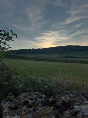 Entre vignes et bois depuis St-Jean-des-Vignes - ANNE-LISE - 2