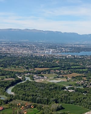 Pierre-Vieille - Halim - 2