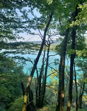 Lac de Chalain, belvédères bleutés et forêt enchantée - Emmanuel - 5