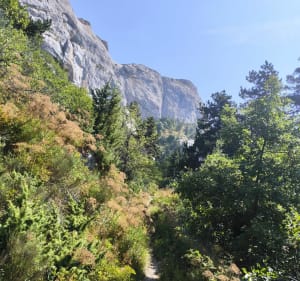 Tour du Mont Ceuze - Neffes - 2