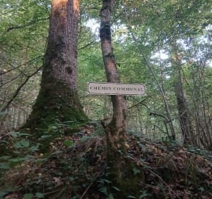 Parcours très sportif à pied ou VTT vers Lavardin - Denis - 2