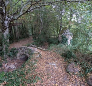 Boucle VTT autour de Saint-Georges-de-Montclard - Saint-Georges-de-Montclard - 2