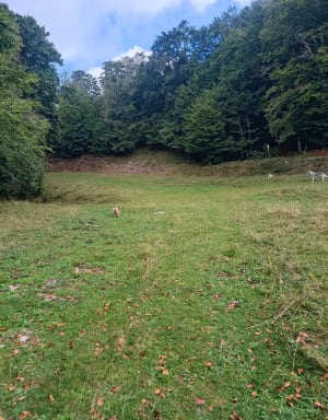 Natuurlus op het Retord-plateau - Emeline - 5