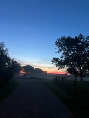 Célèbre pomenade Doloise, prairie d'Assaut et son chemin de halage - David - 6