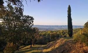 Joucas et escapade entre vignes et vergers - Claire - 2