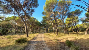 Joucas et escapade entre vignes et vergers - Claire - 4