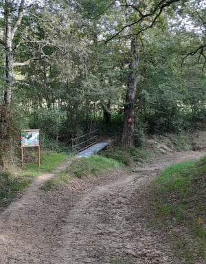 Sentier Botanique de Mauressac - Patrick - 2